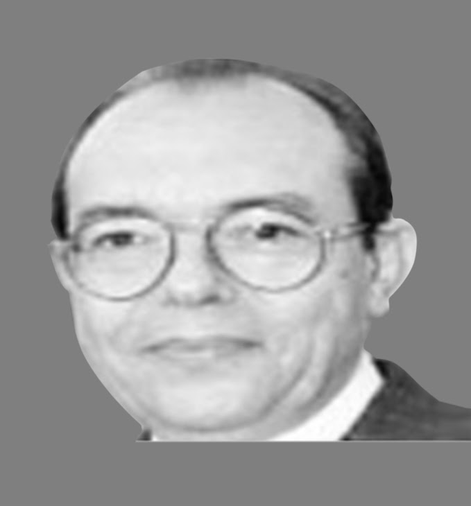 صورة السيد عبد الصادق ربيع - عضو الغرفة الدستورية