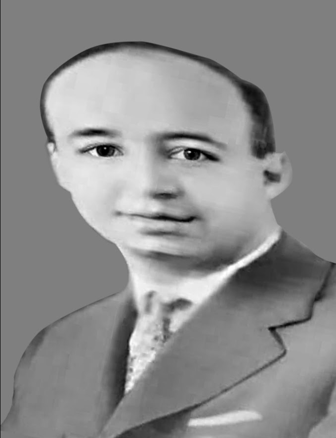 صورة السيد محمد عمور - عضو الغرفة الدستورية